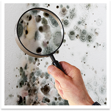 a hand holding a magnifying glass that is zooming in on what looks like mould